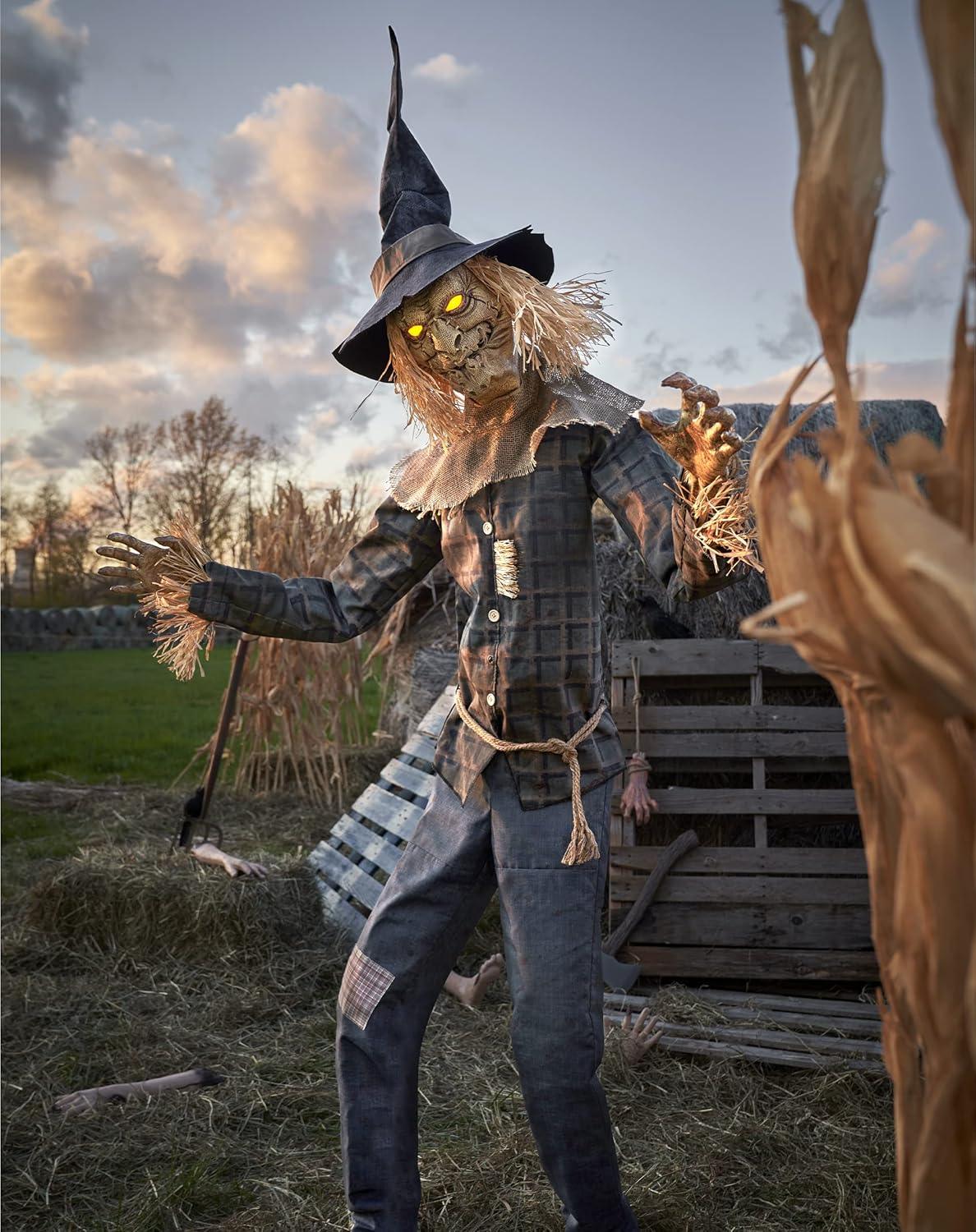 Imagen del producto 8